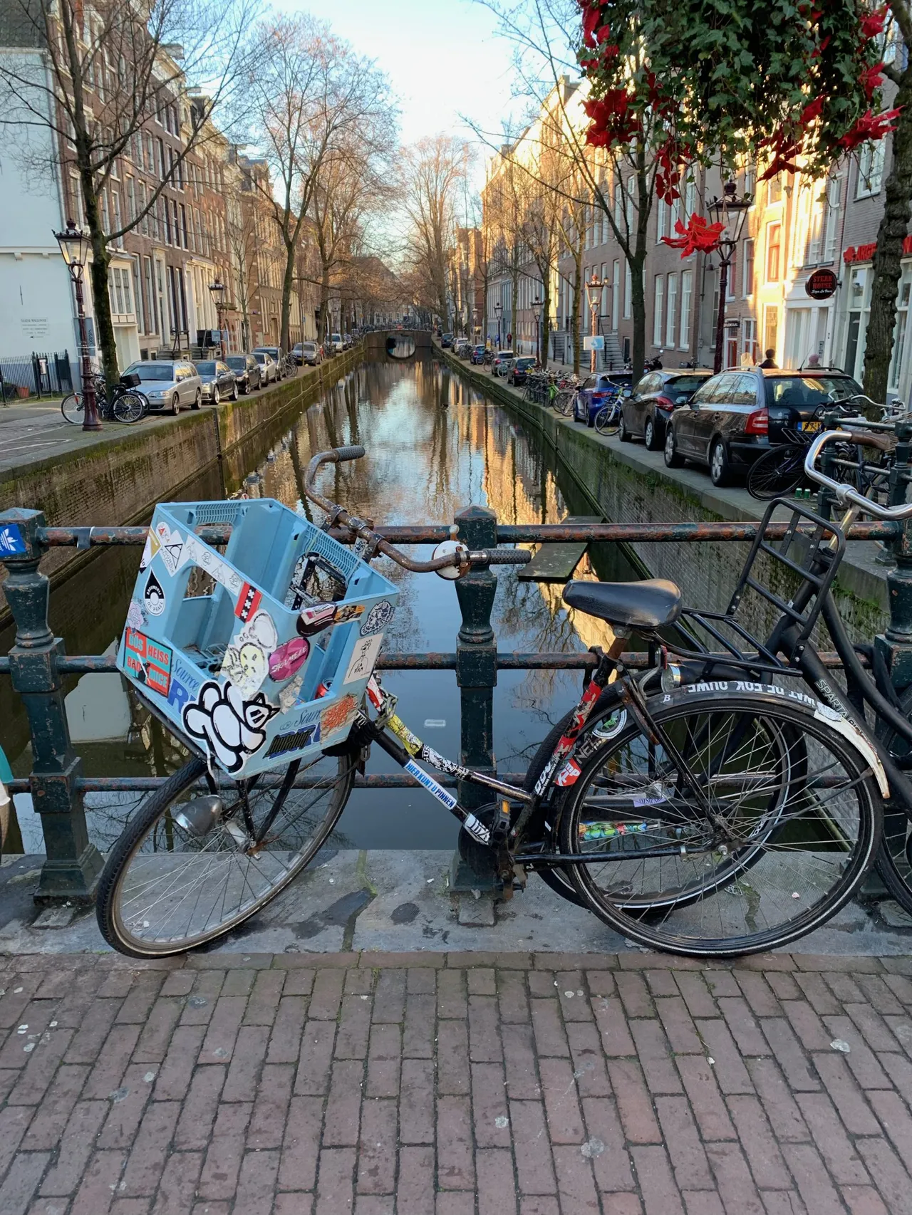 A sticker-covered bicycle locked on a bridge over an Amsterdam canal, with rows of bare trees and traditional Dutch houses lining both sides
