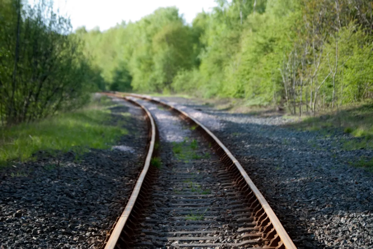 A single railway track curving away between trees.