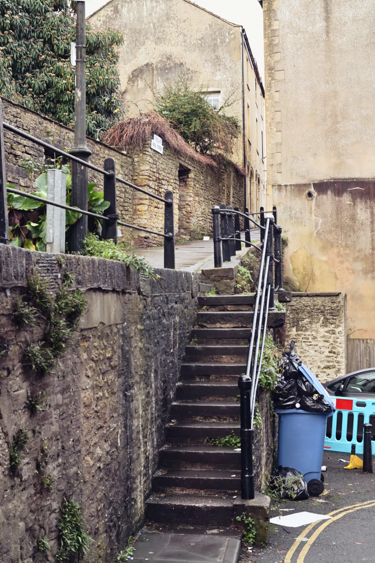 A flight of stone steps between walls, with wheelie bins at the bottom.