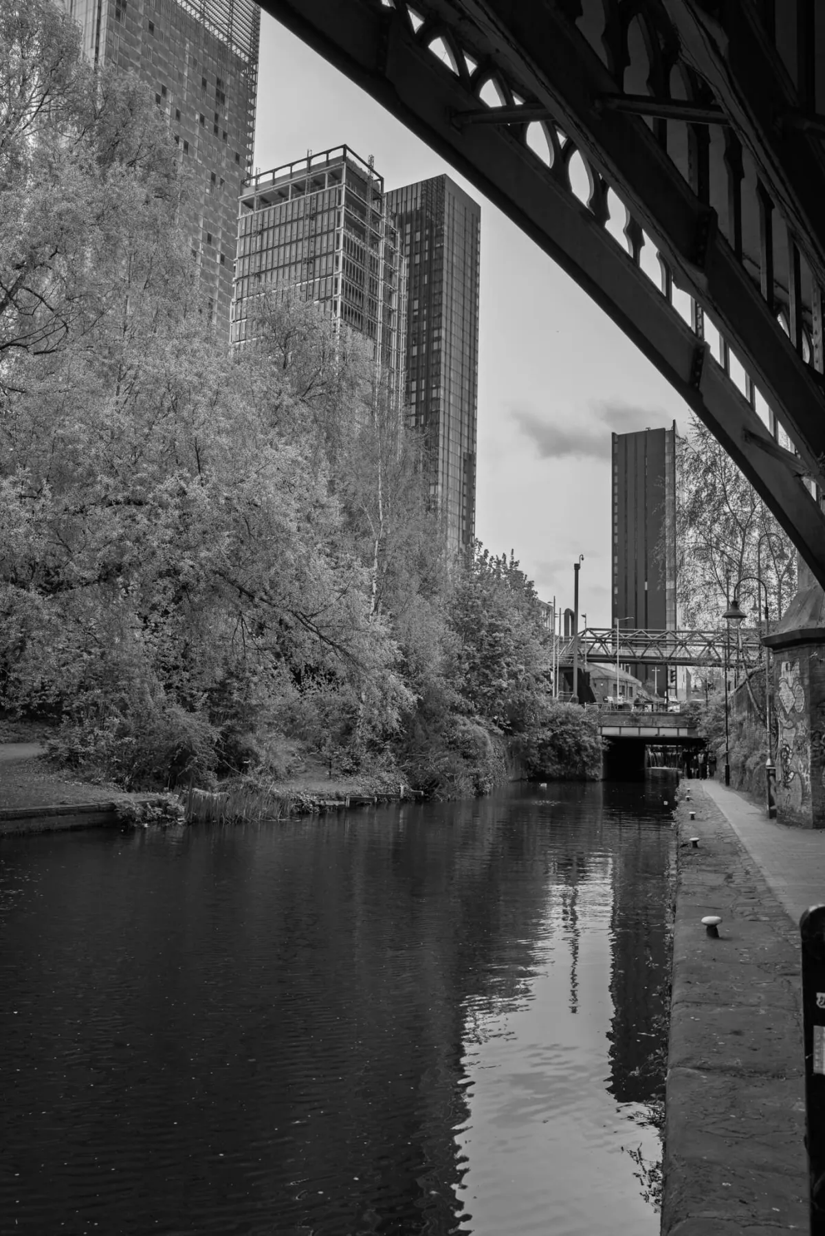 A canal running between trees towards city towers. Black and white.