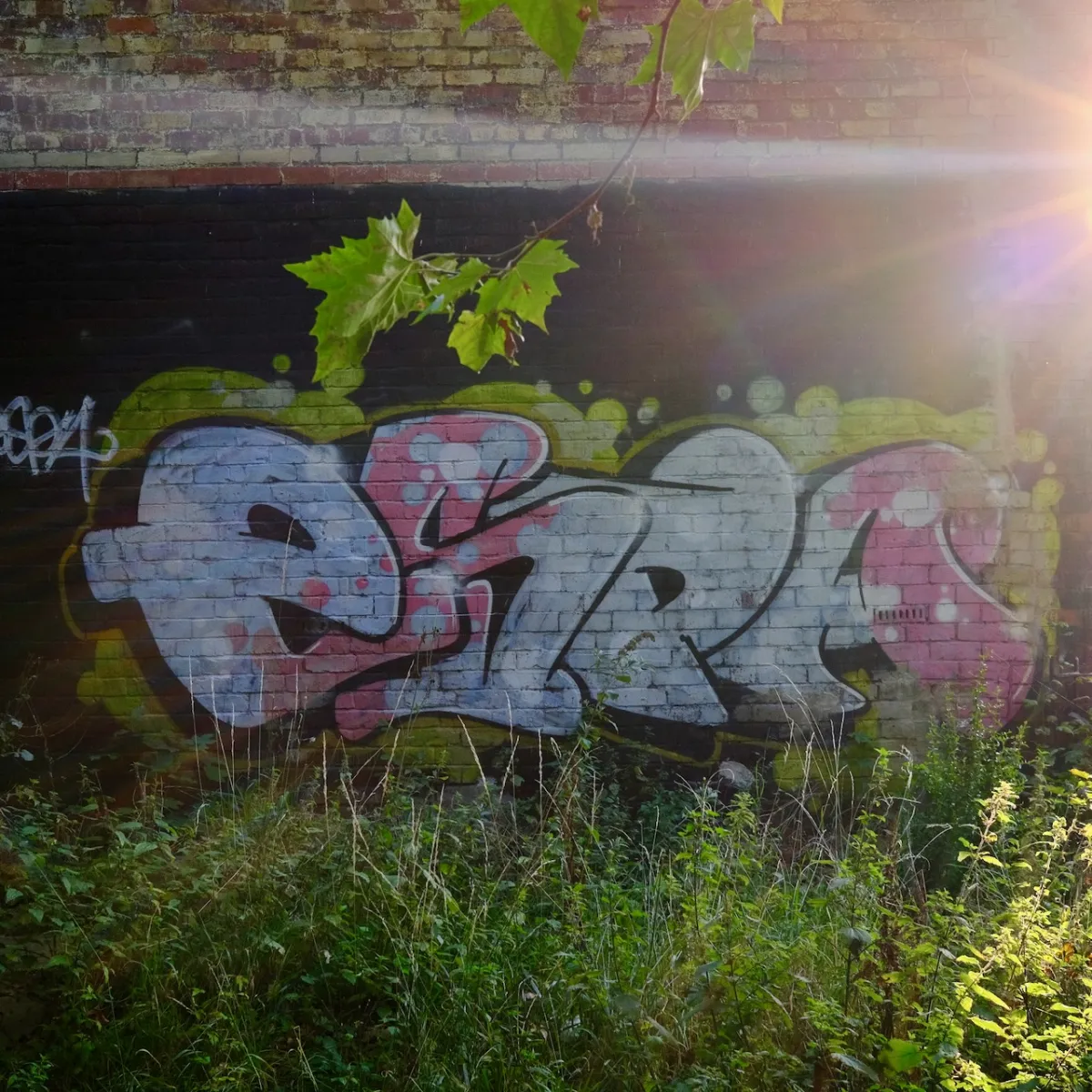 Pale blue and pink bubble-letter graffiti under a railway bridge, with leaves overhanging.