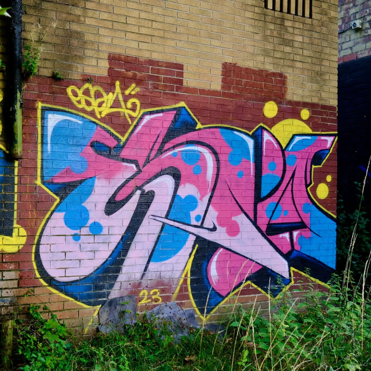 Pink and blue graffiti lettering on a brick wall, with grass growing in front.