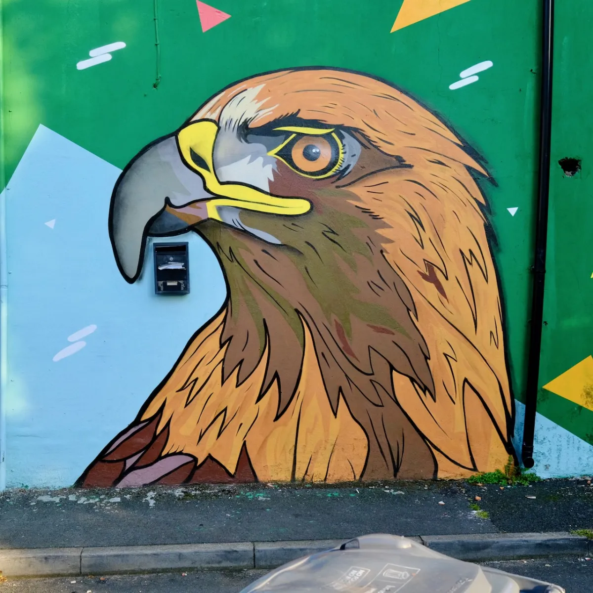 A mural of a golden eagle's head on a green wall.