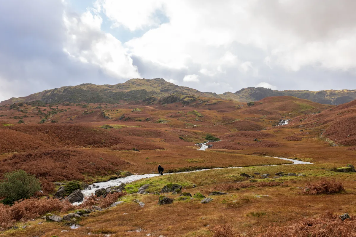 A person sitting on a rock looking out across a bracken-covered fellside.