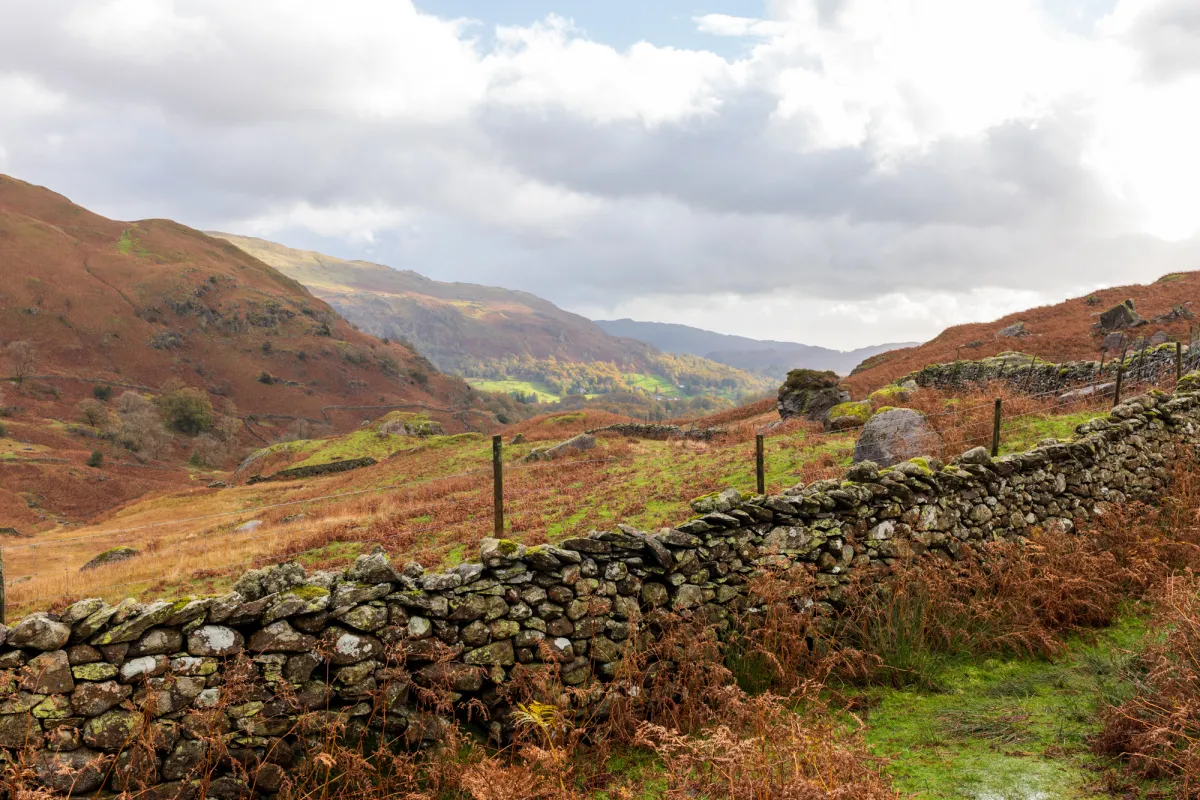 A dry stone wall running along a path, with a wooded valley beyond.