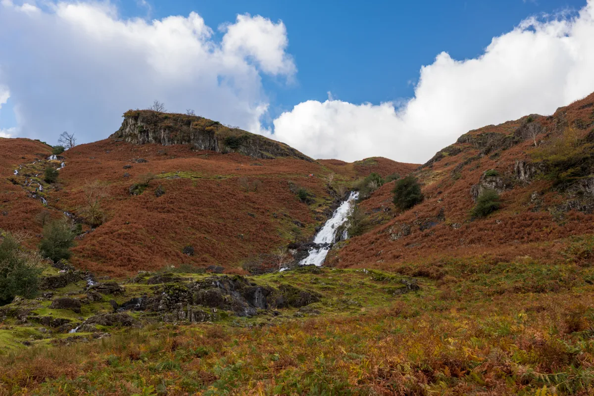 A stone house among autumn trees below a misty fellside, with sheep grazing in the field in front.