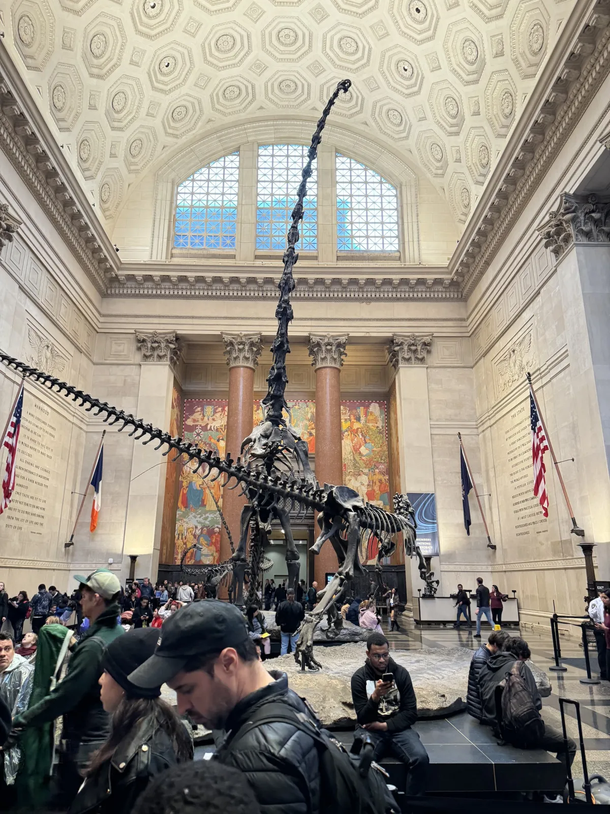 A mounted dinosaur skeleton in the vaulted entrance hall of a museum.