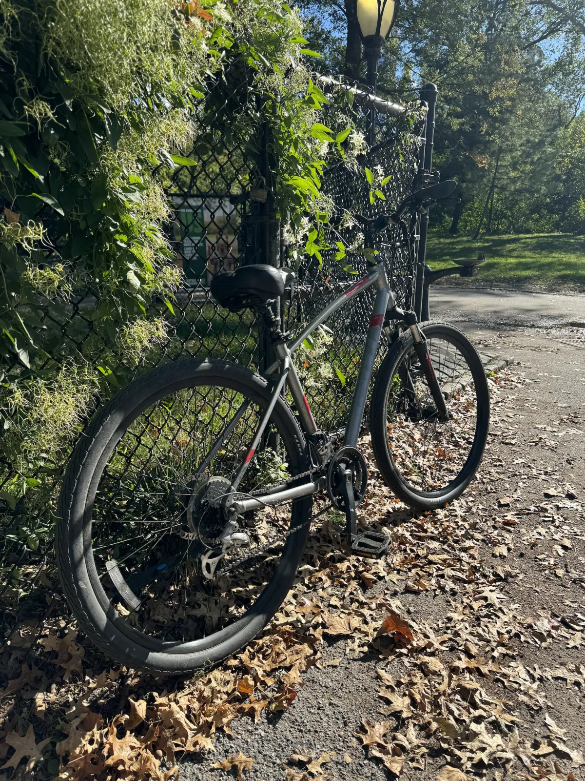 A mountain bike leaning against a chain-link fence on a leaf-covered path.