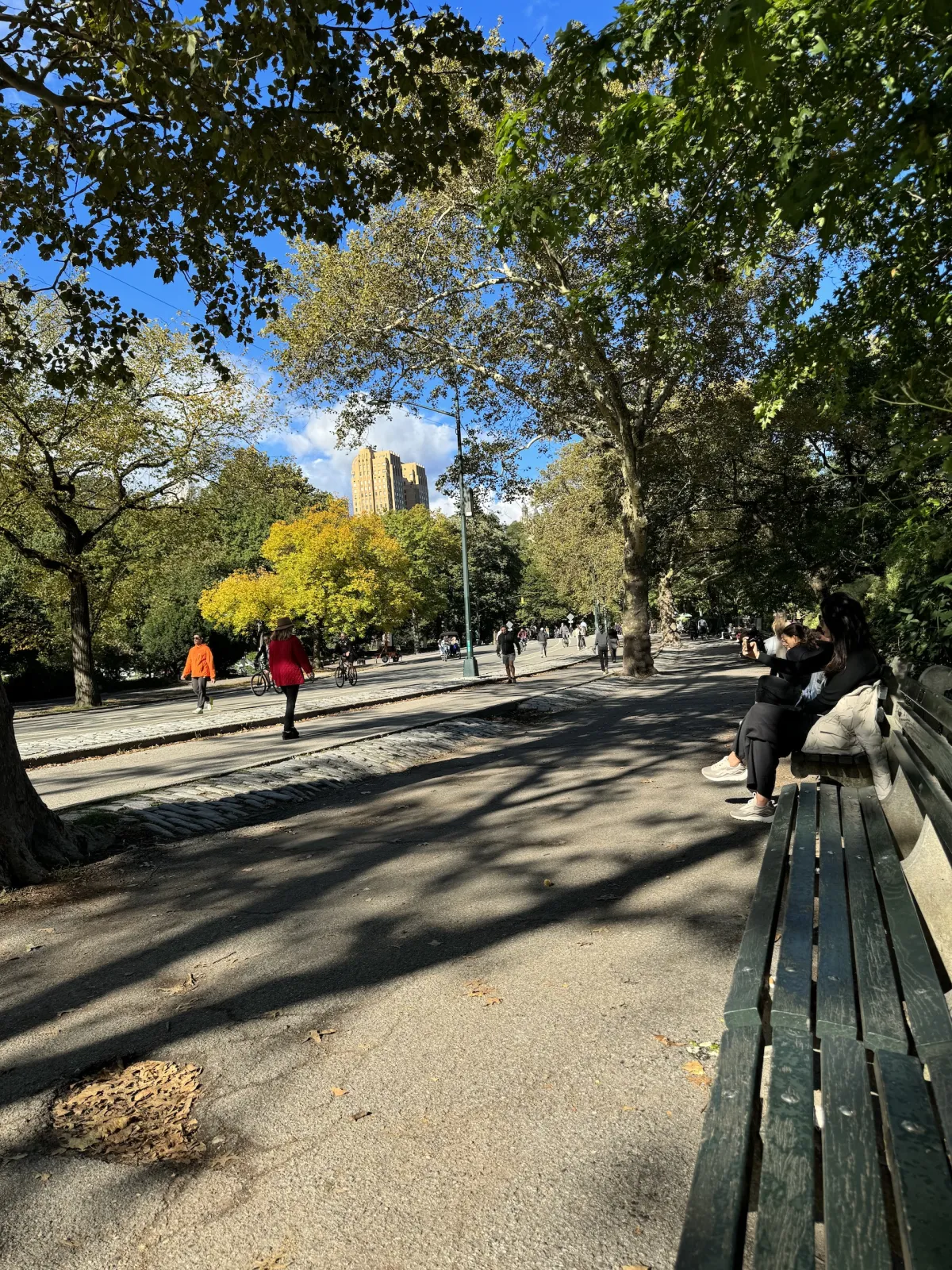A tree-lined path in Central Park, with people walking and sitting on benches.