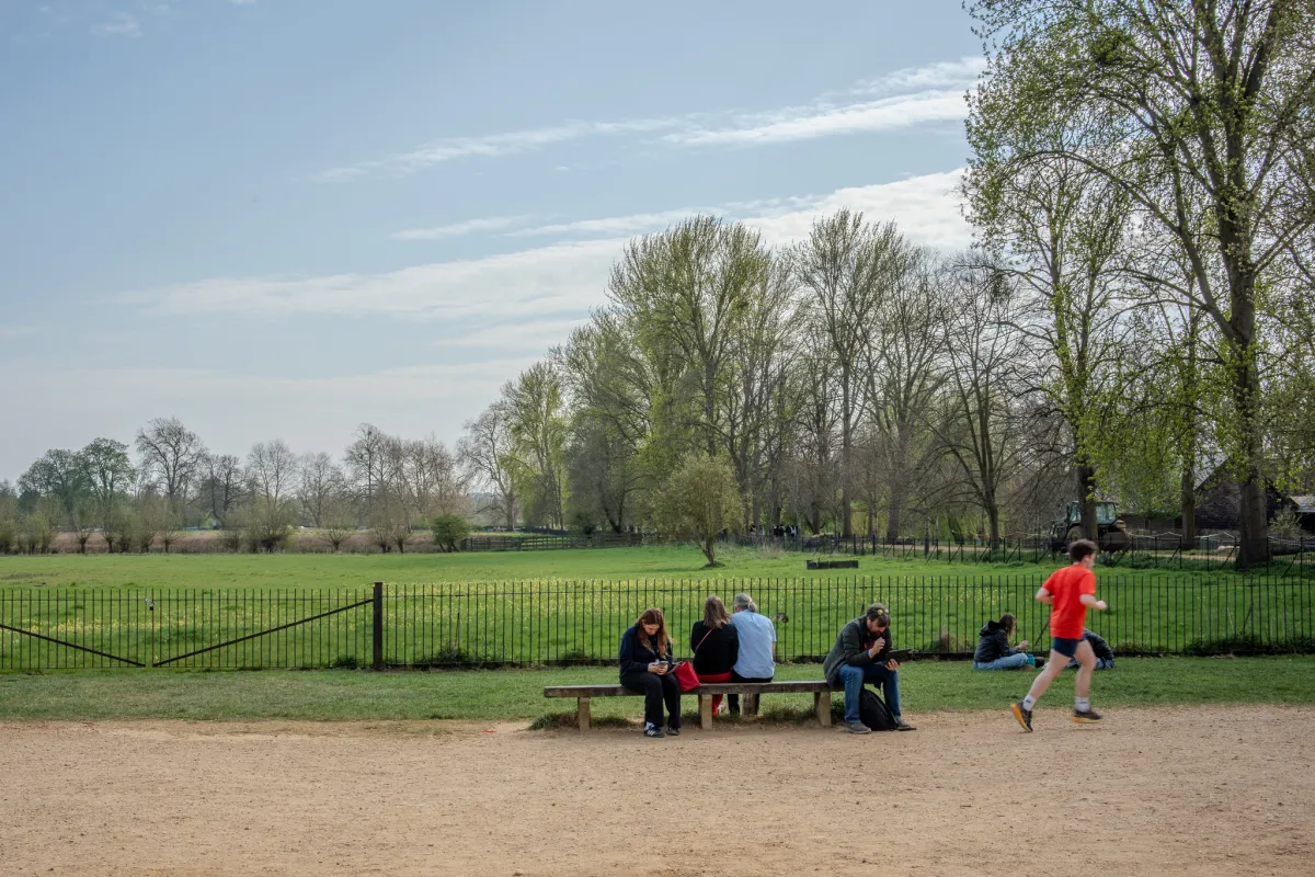 People sitting on a bench beside a meadow, with a runner passing on the path.