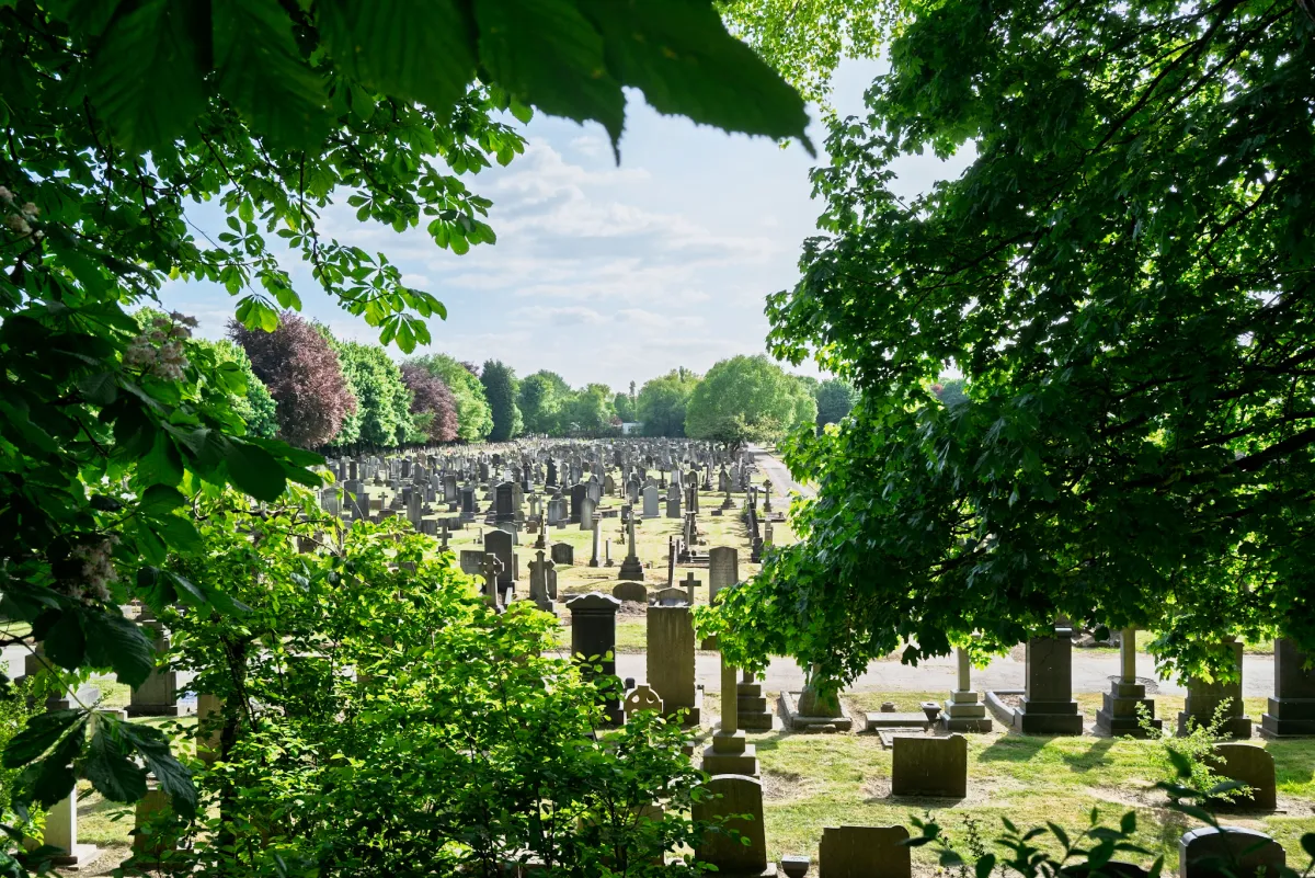 Gravestones in a cemetery, framed by overhanging leaves.
