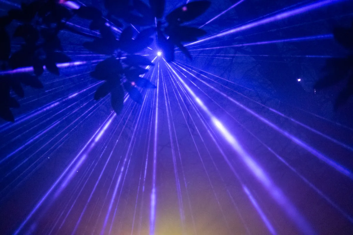 Blue laser beams fanning out through trees at night.