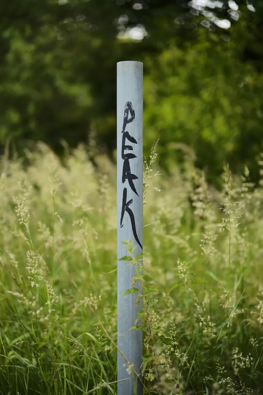 A metal post in long grass with the word Peak written down it in marker.