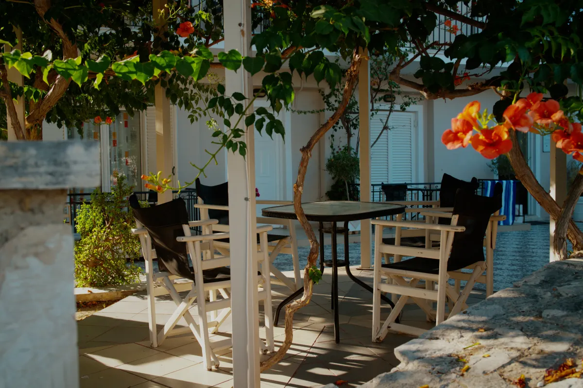 White wooden chairs and a table on a shaded terrace, under vines and orange flowers.