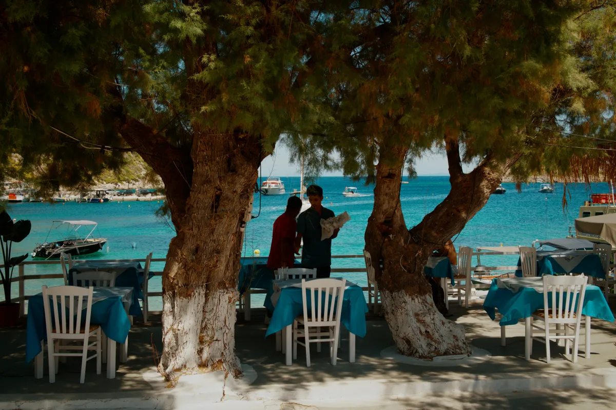 A couple looking out to sea from a taverna terrace shaded by trees.