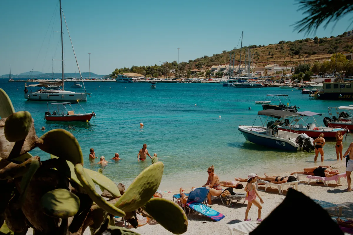 A busy beach and bay seen past a prickly pear in the foreground.